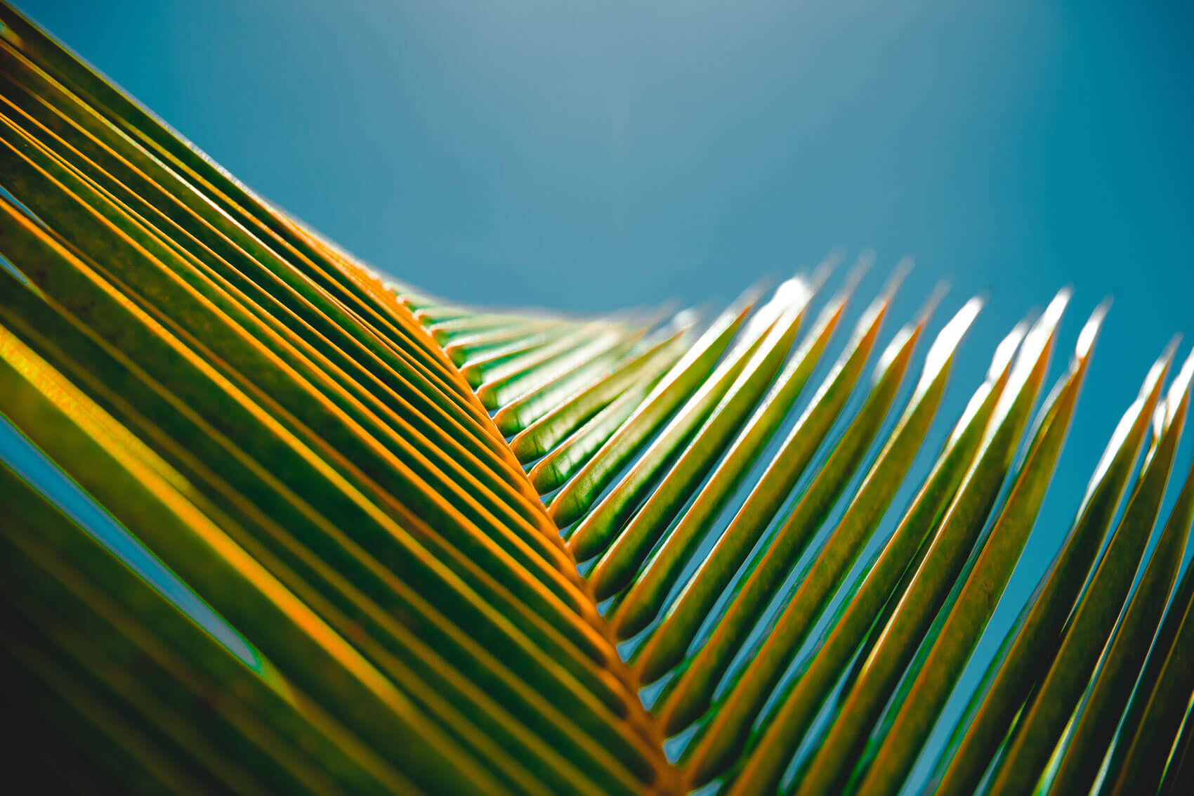 Blog-Post